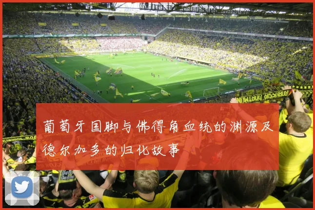 葡萄牙国脚与佛得角血统的渊源及德尔加多的归化故事